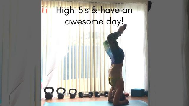 VenusFit: Upside-Down - Stay present so you don't fall on your ass смотреть онлайн