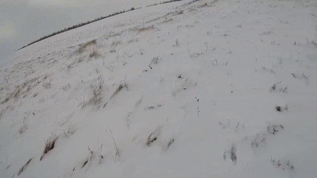 Бронированный Заяц!!!Я в Шоке! смотреть онлайн