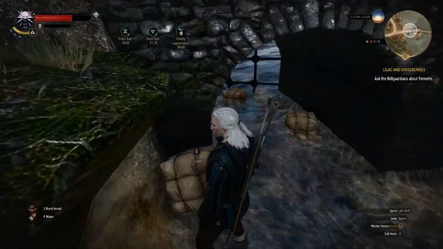 Smugglers Cache DIMERITIUM ORE RELIC NOVIGRAD VELEN - The Witcher 3 Wild Hunt Gameplay PC смотреть онлайн