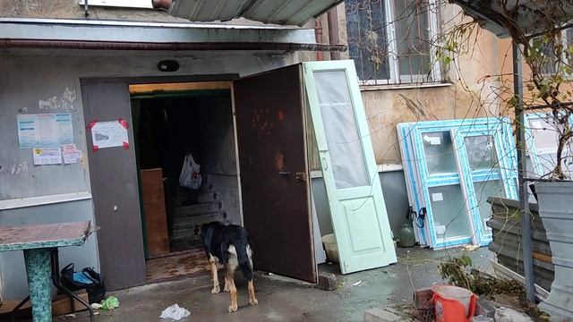 Мариуполь#У нас новая подружка смотреть онлайн