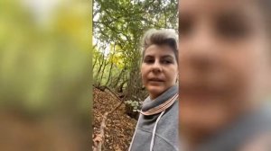 Проверенное средство от кабанов. 2