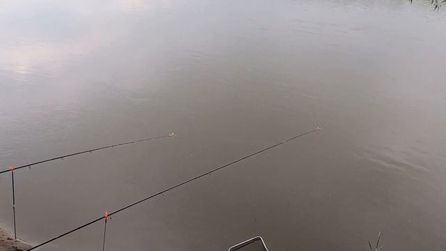 ОКА,ГРОЗА И ЗАТЯЖНЫЕ ДОЖДИ.#ока #погода #рыбалка смотреть онлайн
