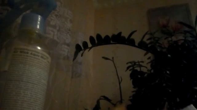 обзор на игральные карты и также коллекционная смотреть онлайн