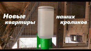 #147 Новые квартиры для кроликов и заготовка сена с Huter