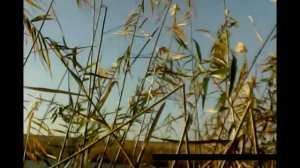 Охота в Крыму