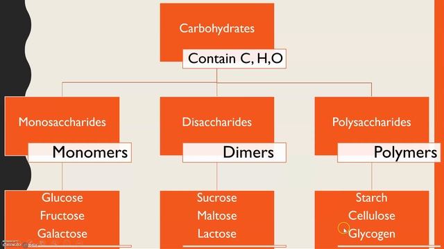 Monomers, Polymers and Monosaccharides- A-level biology Biological Molecules topic смотреть онлайн