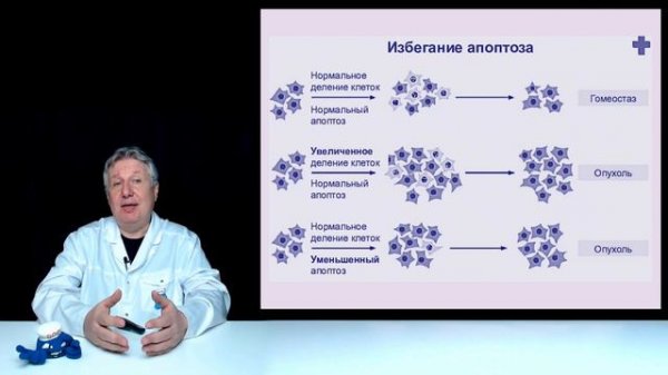 Таурин и рак. Новые данные и наши рекомендации.