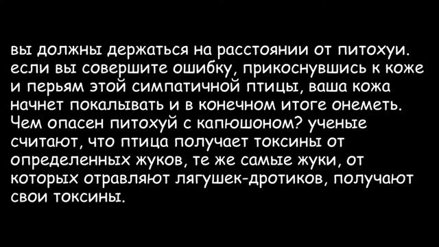 вы не знали, что эти животные ядовиты !!!! смотреть онлайн