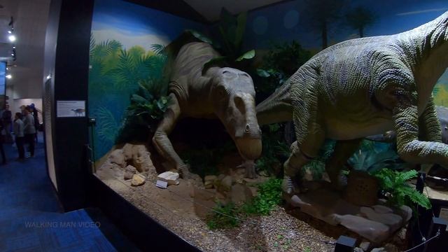 4K National Dinosaur Museum Tour - Canberra - Australia Tourism смотреть онлайн