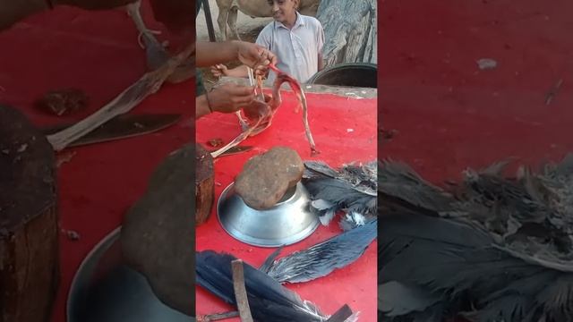 San Chekan ✅✅ смотреть онлайн