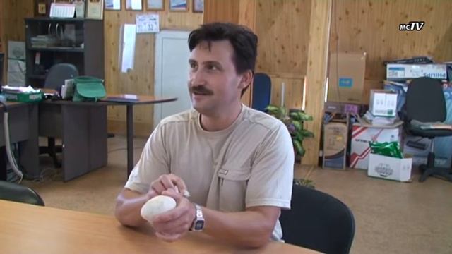 Ископаемое яйцо смотреть онлайн