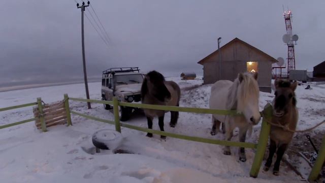 В ОЖИДАНИИ ЗАВТРАКА 04,12,19 смотреть онлайн