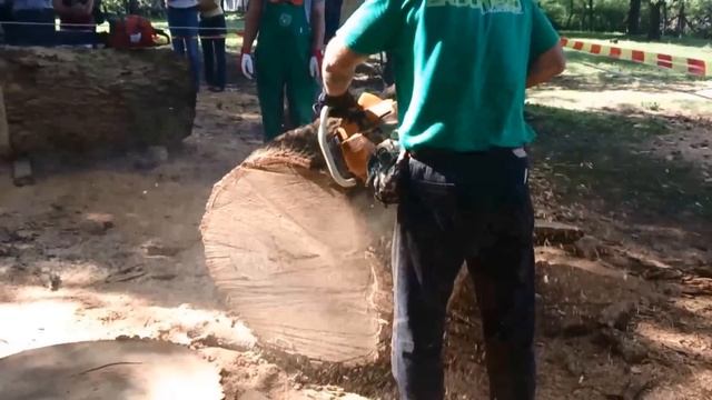 ZID TAJGA 245 / Тайга-245 ЗиД Бензопила / láncfűrész / chainsaw / kettensage смотреть онлайн