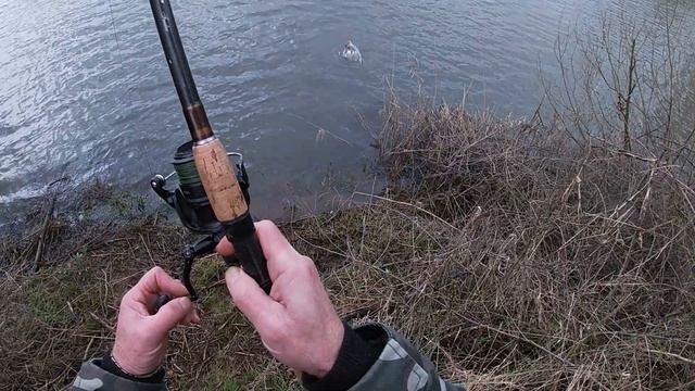 Почему в Германии запретили ловить карася, и отличный тест искуственной кукурузы. смотреть онлайн