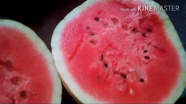 Моё меню на день+рецепты. Экономное меню