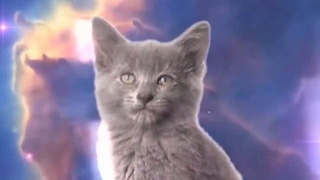 Магия Котята в космосе - песня мяу мяу смотреть онлайн