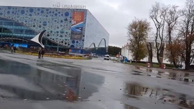 Москвариум - 1 часть - моржи, тюлени смотреть онлайн