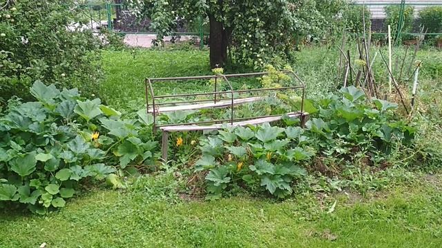 VID_20230809_112915.mp4 смотреть онлайн