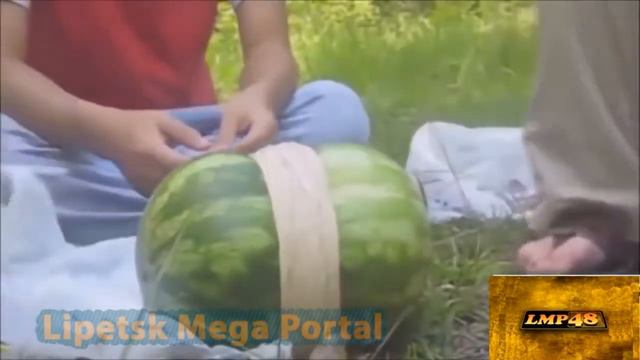 ЭТО НАДО ВИДЕТЬ ! УГАР ДО ПОТЕРИ ПУЛЬСА!!! смотреть онлайн