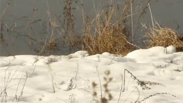 Ледоход на Оке г. Пущино. Ice drift Oka River, Pushchino. смотреть онлайн