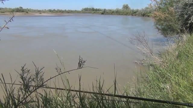 Рыбалка на реке Чу в июне смотреть онлайн