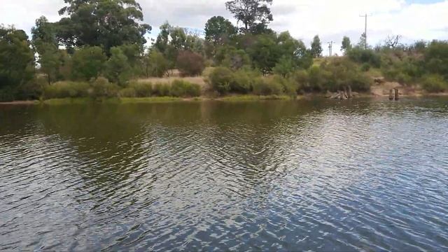 Argo with 54lb Watersnake - speed test. смотреть онлайн