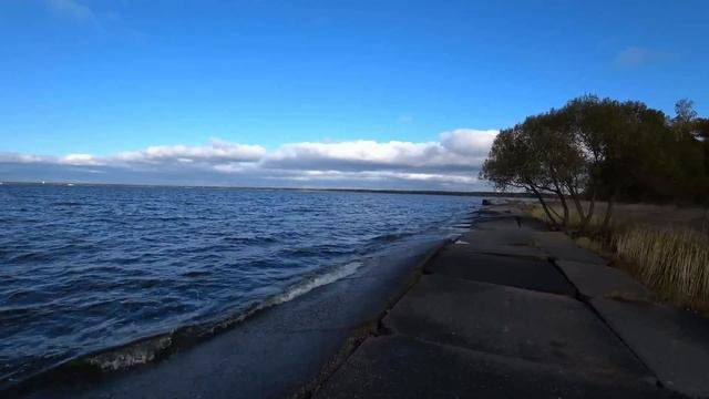 Цены на жилье в Сестрорецке. Любимый пригород Коршуна из Санкт- Петербурга.