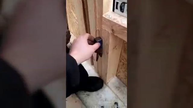 Строительство дачи Потеряли отвес сдали отвес из молотка смотреть онлайн