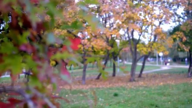 Листопад смотреть онлайн