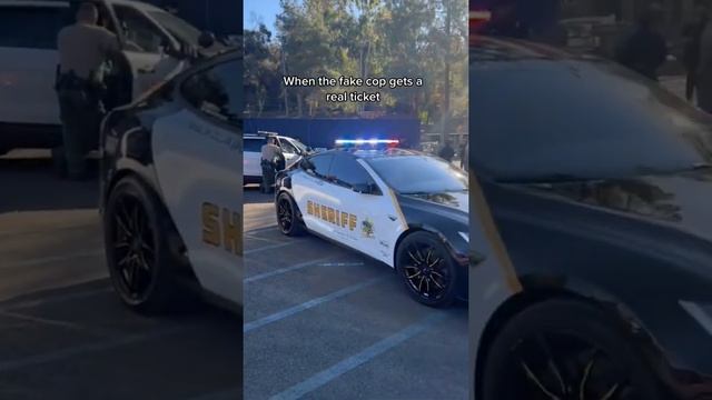 How’d They Catch Him? #tesla #police #California смотреть онлайн