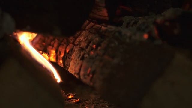 Русские печи в ресторане Засека