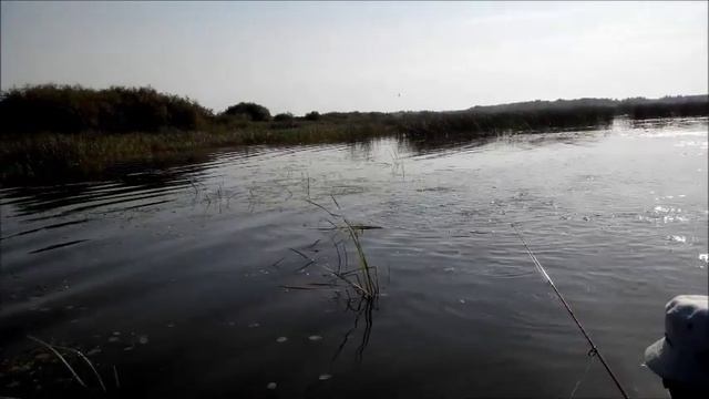 Где водится щука. смотреть онлайн