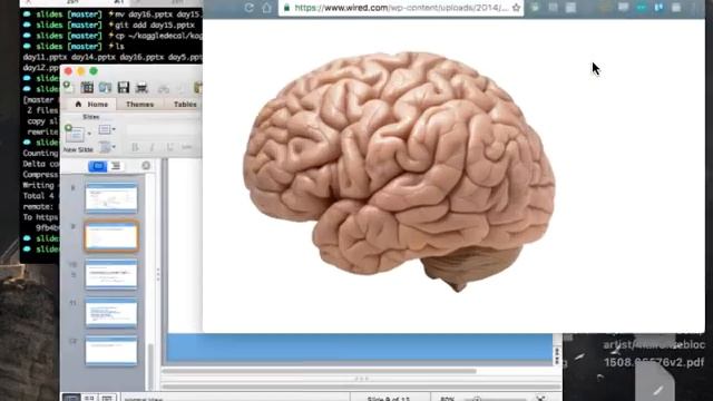 11/02/16 Data Science with Kaggle Decal Lecture 16: Neural Networks смотреть онлайн