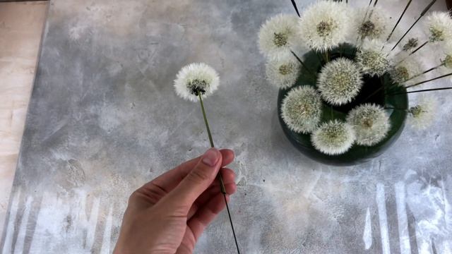 Как сушить одуванчики Простой надёжный способ