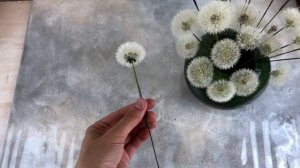 Как сушить одуванчики Простой надёжный способ