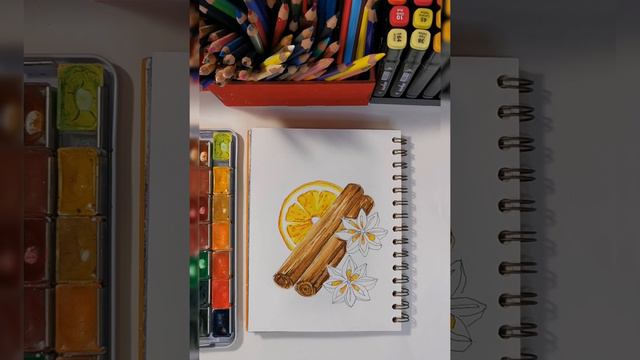 РИСУЕМ АПЕЛЬСИН И СПЕЦИИ. СКЕТЧ. АКВАРЕЛЬ. Рисуем палочки корицы, бадьян и дольку апельсина. смотреть онлайн