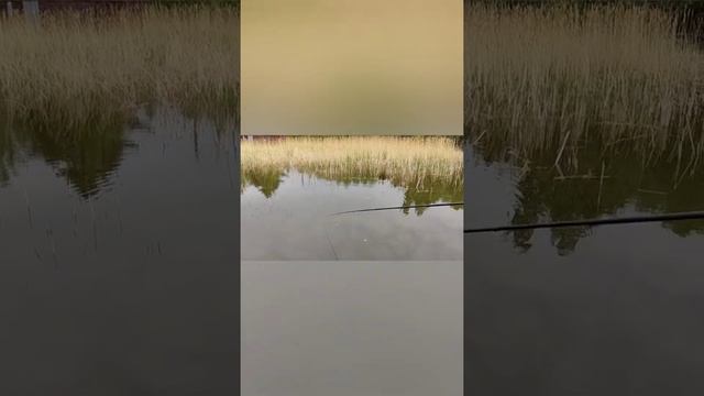 открыли рыболовный сезон) 23 мая 2021 года. пермский край,семейный отдых смотреть онлайн