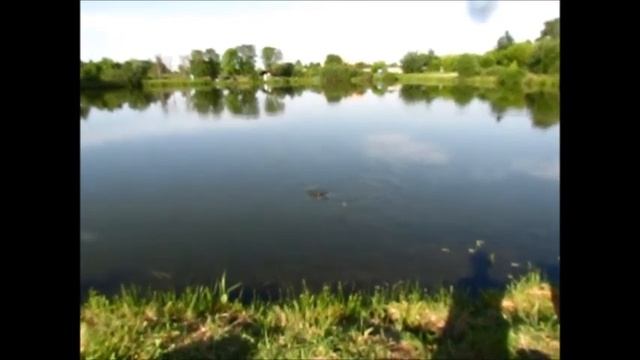 КВАДРАТ на ЛЕНИНГРАДКЕ ОТДЫХ С ЛОВЛЕЙ РЫБЫ смотреть онлайн