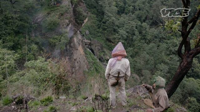The Nepalese Honey That Makes People Hallucinate смотреть онлайн