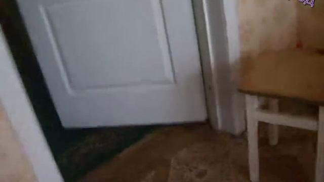 готовим бутерброд// смотреть онлайн