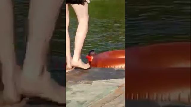 Дача.мостик смотреть онлайн