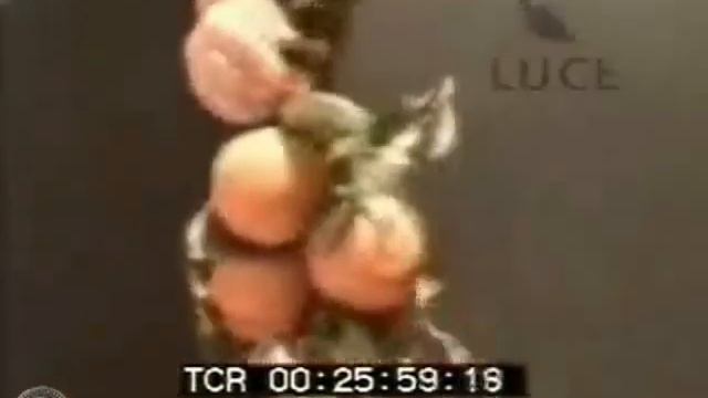 La Sicilia i trasporti ferroviari negli anni '50 смотреть онлайн