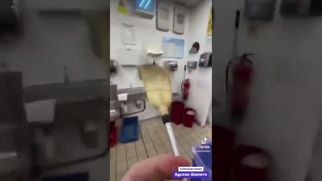 Швабра во фритюре)