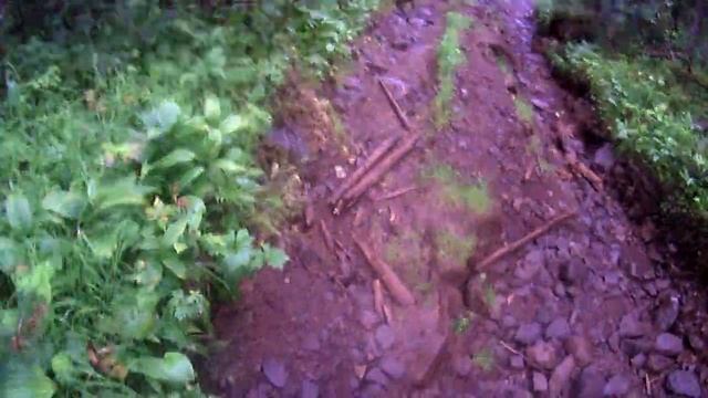 Хамар-Дабан на велосипеде через Комар смотреть онлайн