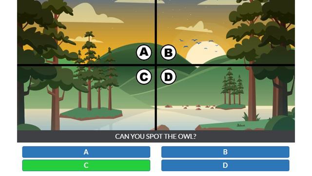 Spot The Owl Quiz Answers 100% | Quiz Diva смотреть онлайн