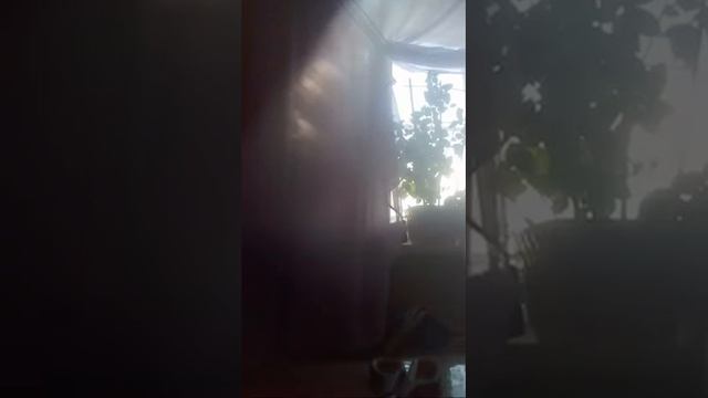 Усилитель Звука И Подставка Для Телефона смотреть онлайн