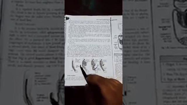 SAINT ANGELS SCHOOL, BLOOD PRESSURE, BIOLOGY CH-1 PART-7, CLASS 10 смотреть онлайн