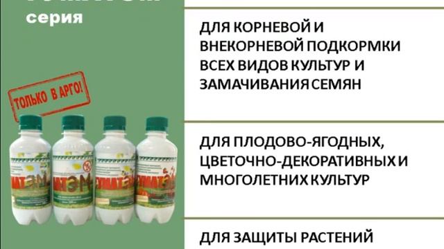 Новинки ЭМ -1 Валуева Марина Павловна лекция ч-1 смотреть онлайн