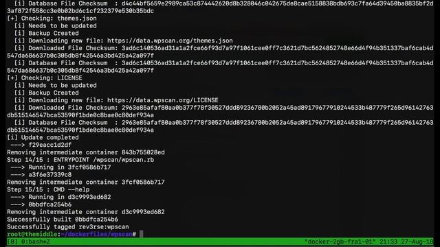 5 Pentest Docker Images смотреть онлайн