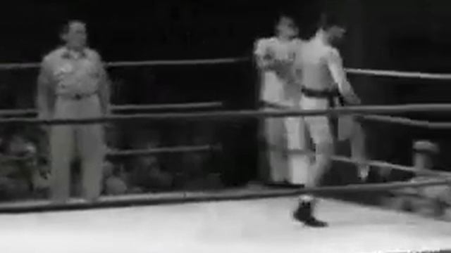 Самый смешной боксер в мире XD